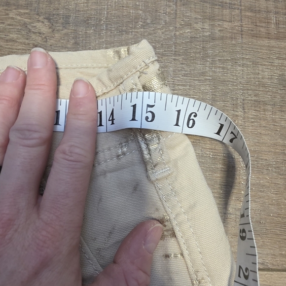 Anthropologie ($198) Pilcro “The Wanderer” Metallic Utility Pants - Picture 8 of 11